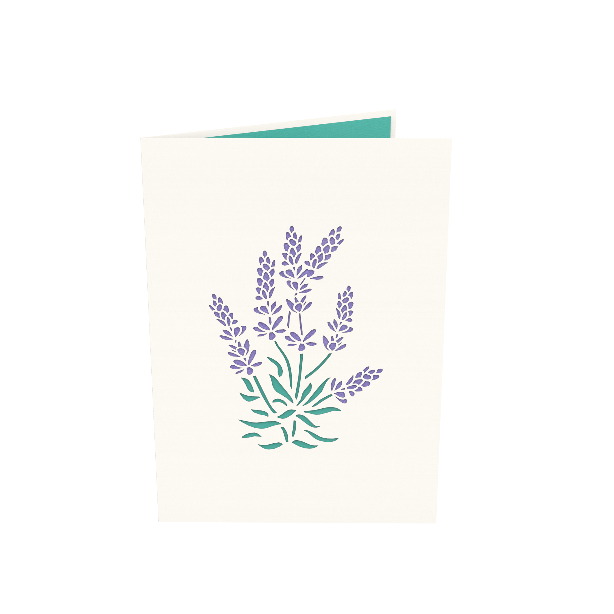 Thiệp Pop Up Hoa Lavender