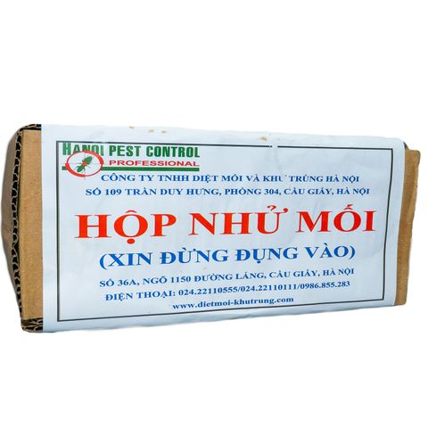 Hộp nhử mối 