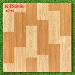 Gạch lát nền 50x50 - BLĐT 5056