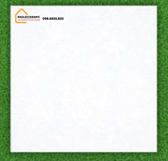 Gạch nền 60x60 Ceramic Bóng kính - BLLCP 603