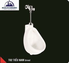 Bồn tiểu nam HC T02