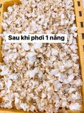 Sâm Tươi Ngâm Mật Ong 500ml TPCN Hàn Quốc