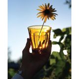 Bộ 6 Ly Picardie vàng Amber 250ml DURALEX - MADE IN FRANCE
