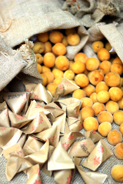 Hộp mơ sấy suka Nam Xanh 120g (140g)