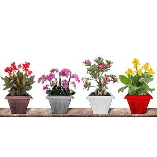 Chậu Nhựa Vuông Trồng Cây 36x36x32cm