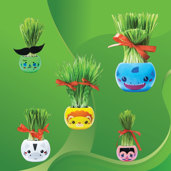 Bộ Cỏ Tươi Tự Trồng Grass Kit Hình Sư Tử Biển