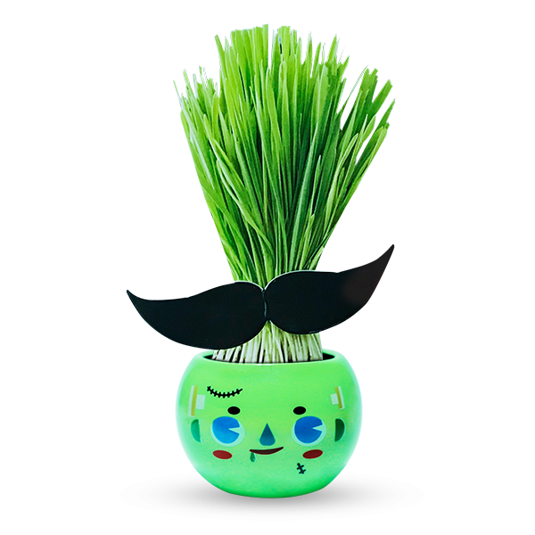Bộ Cỏ Lúa Mì Tự Trồng Grass Kit Hình Zombie