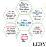  LEDY FL006 