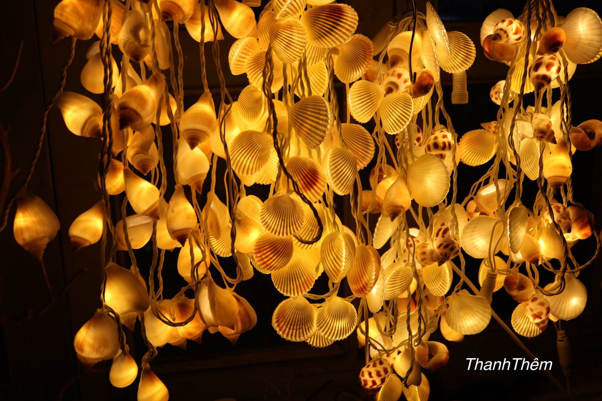 Đèn LED dây nghệ thuật Vỏ Ốc Nhảy Tròn