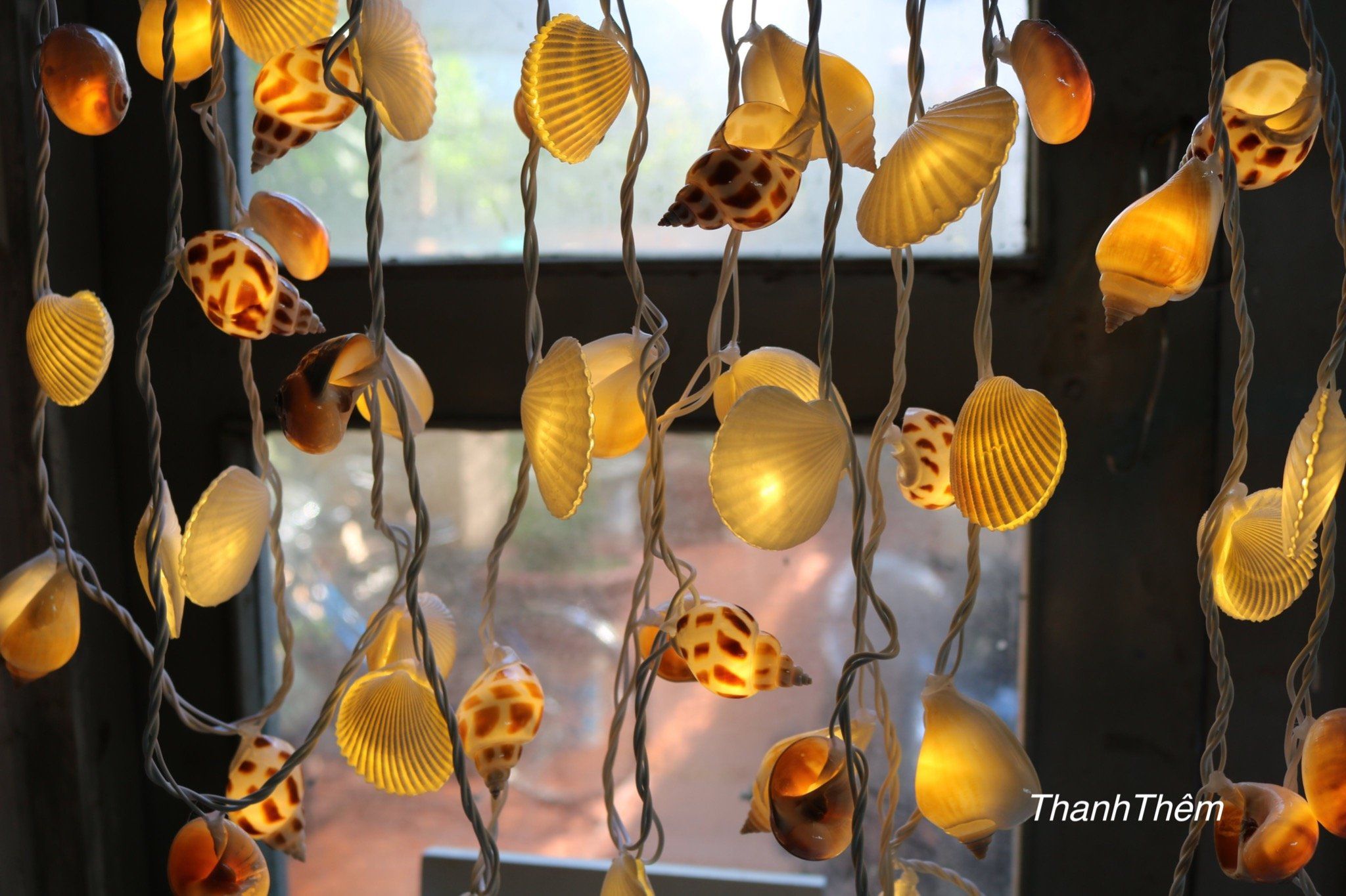 Đèn LED dây nghệ thuật Vỏ Ốc đủ loại