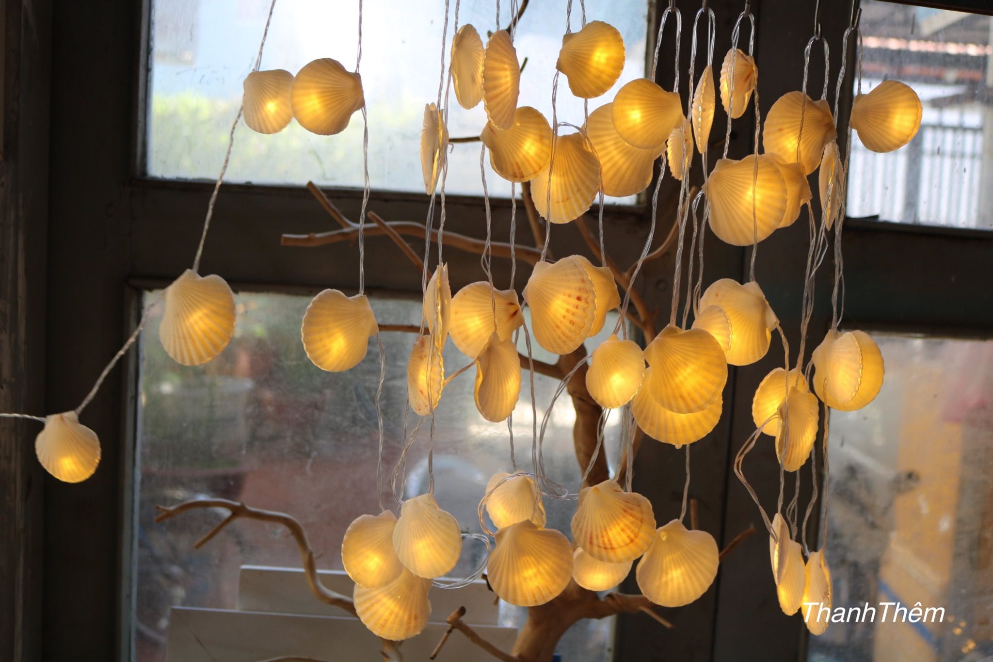 Đèn LED dây nghệ thuật Vỏ Ốc Sò Điệp Trắng