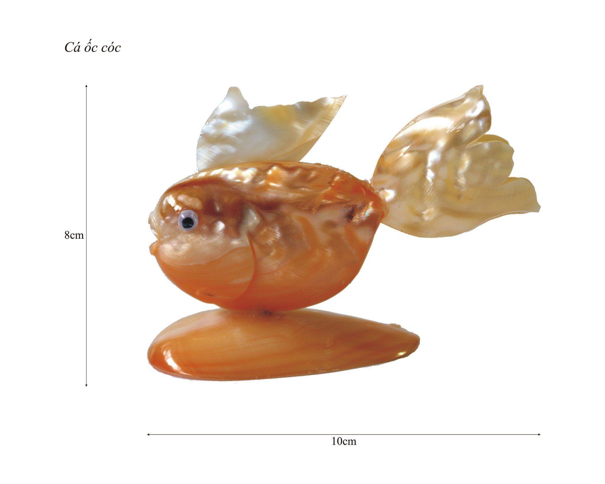 Cá làm bằng vỏ ốc trai cóc 