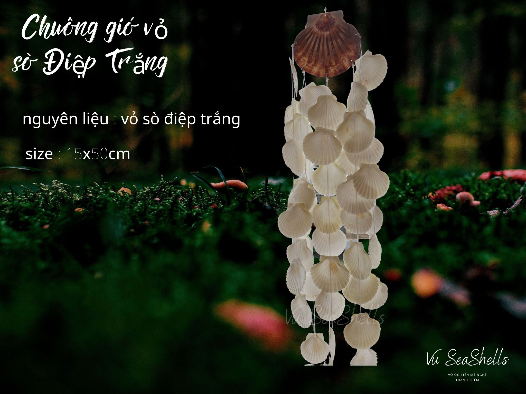 chuông gió vỏ sò điệp