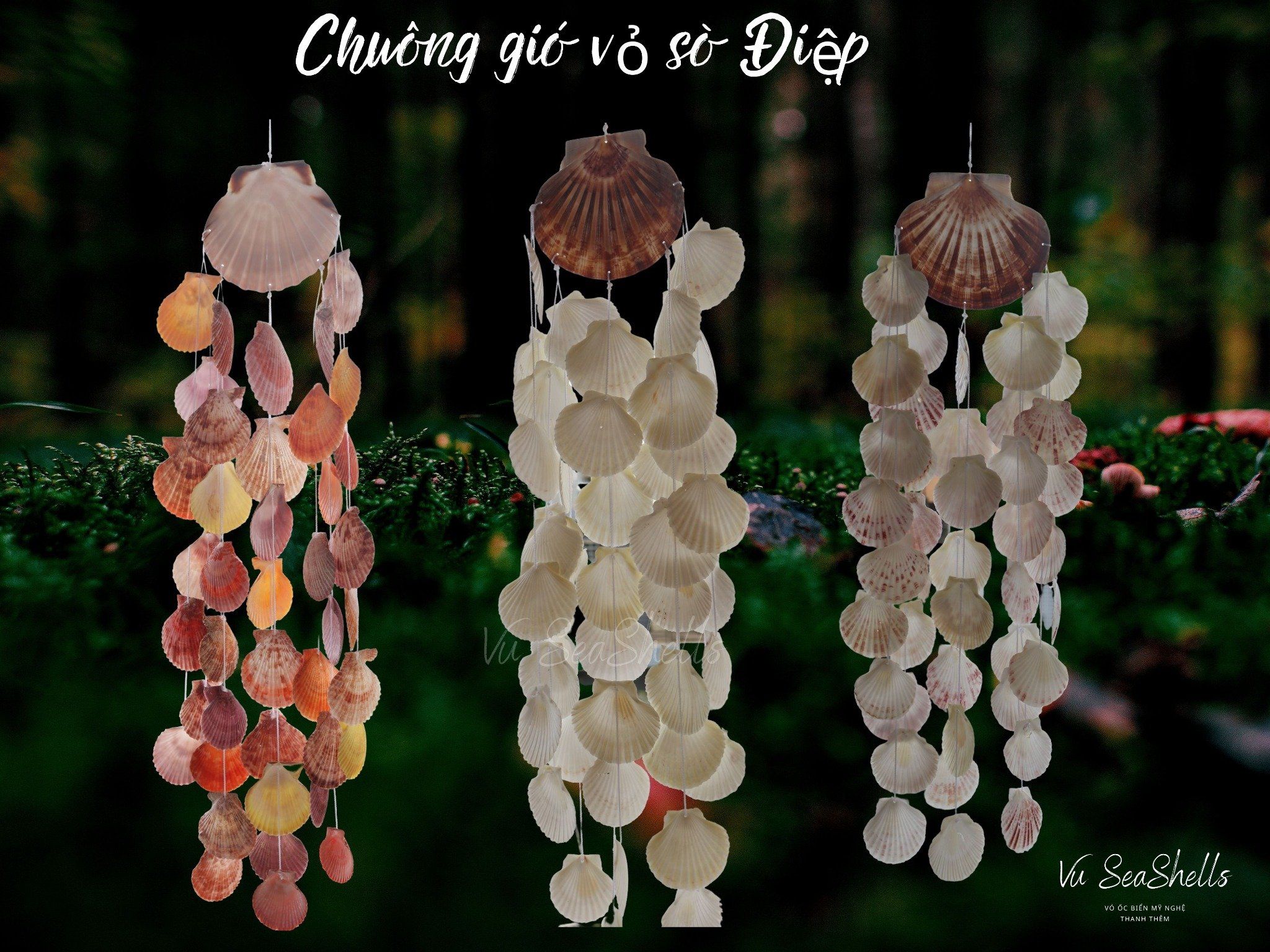 chuông gió vỏ sò điệp
