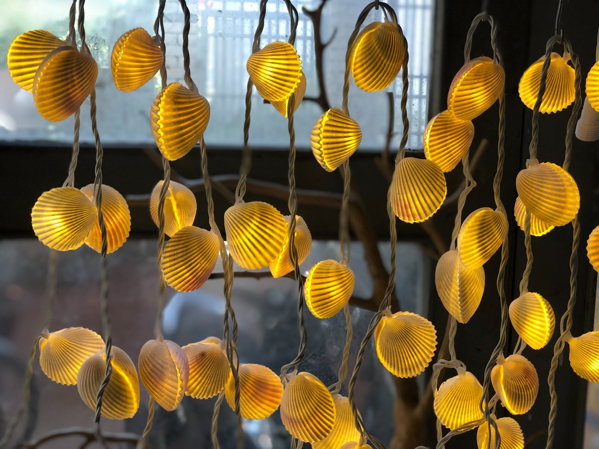  Đèn LED dây nghệ thuật Vỏ Ốc Sò Dương 