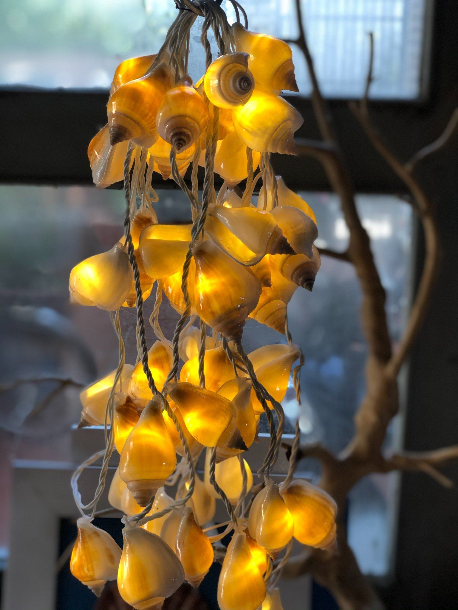 Đèn LED dây nghệ thuật Vỏ Ốc Nhảy Tròn