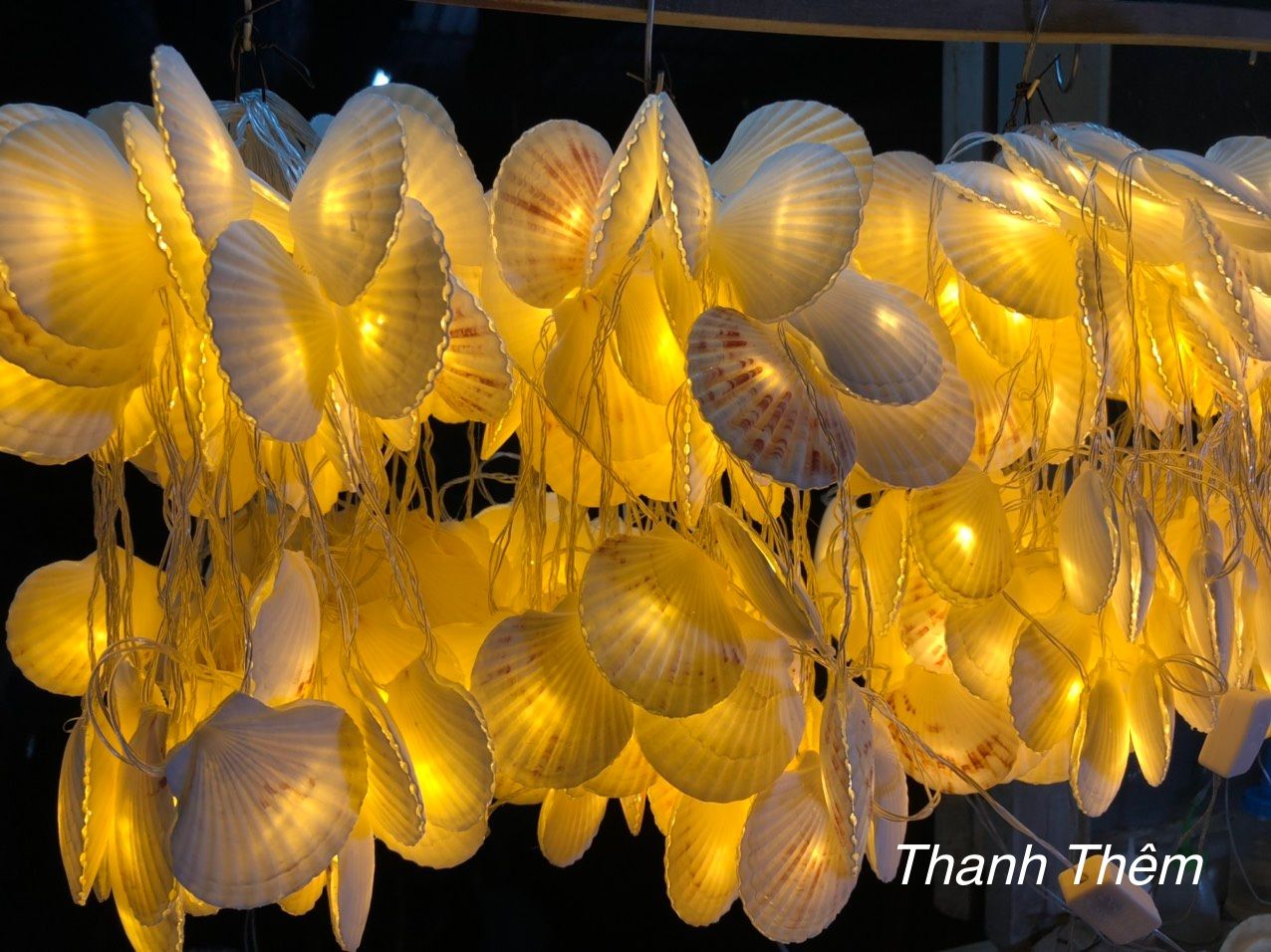 Đèn LED dây nghệ thuật Vỏ Ốc Sò Điệp Trắng