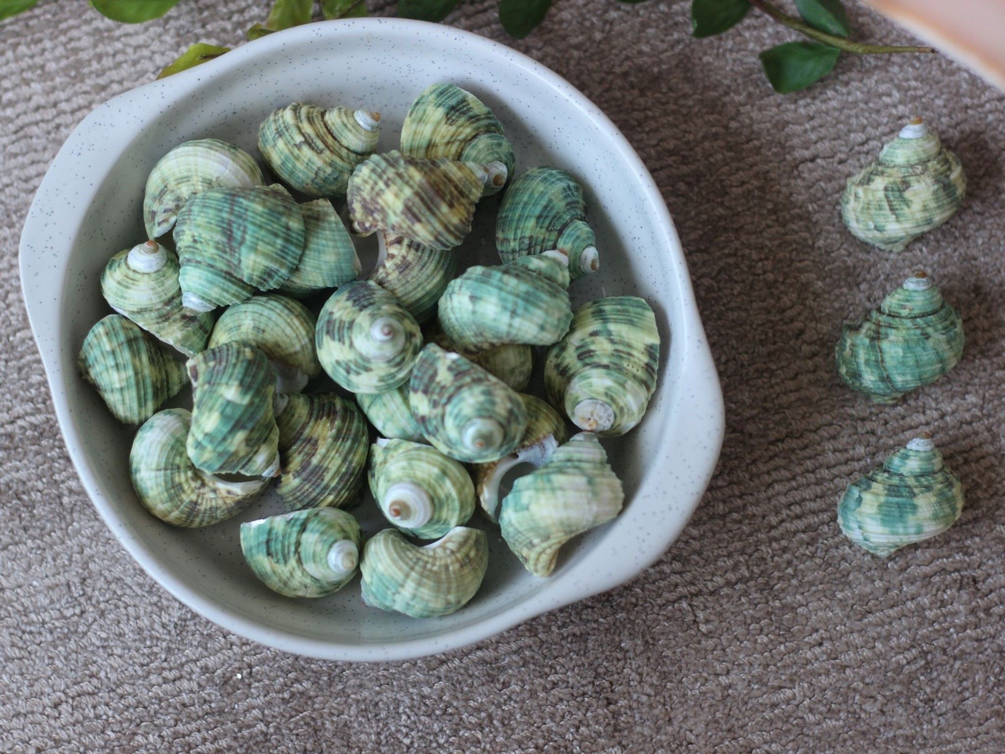 Vỏ Ốc Dỗ Xanh (1kg)