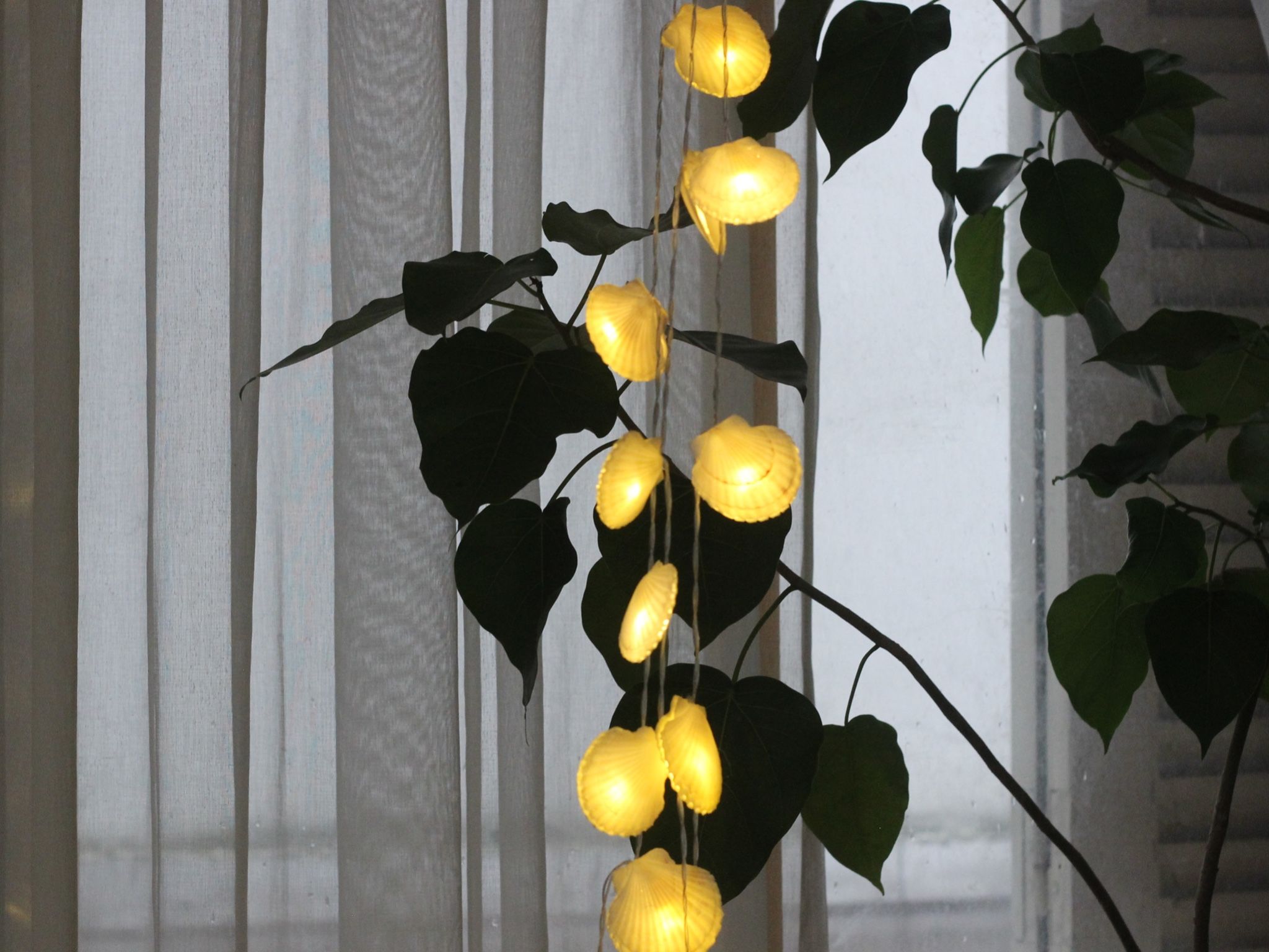 Đèn LED dây nghệ thuật Vỏ Ốc Sò Điệp Trắng