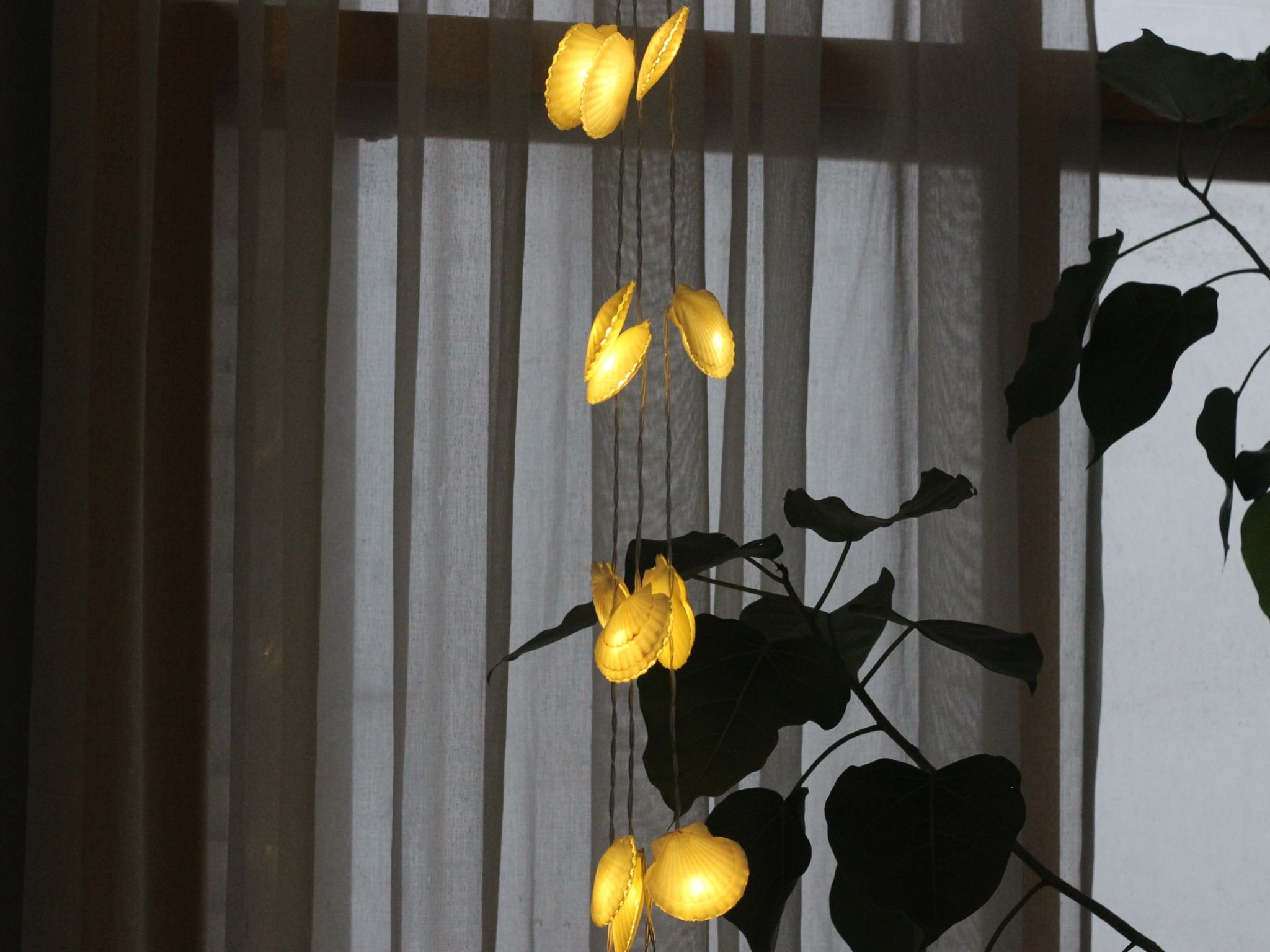 Đèn LED dây nghệ thuật Vỏ Ốc Sò Điệp Trắng