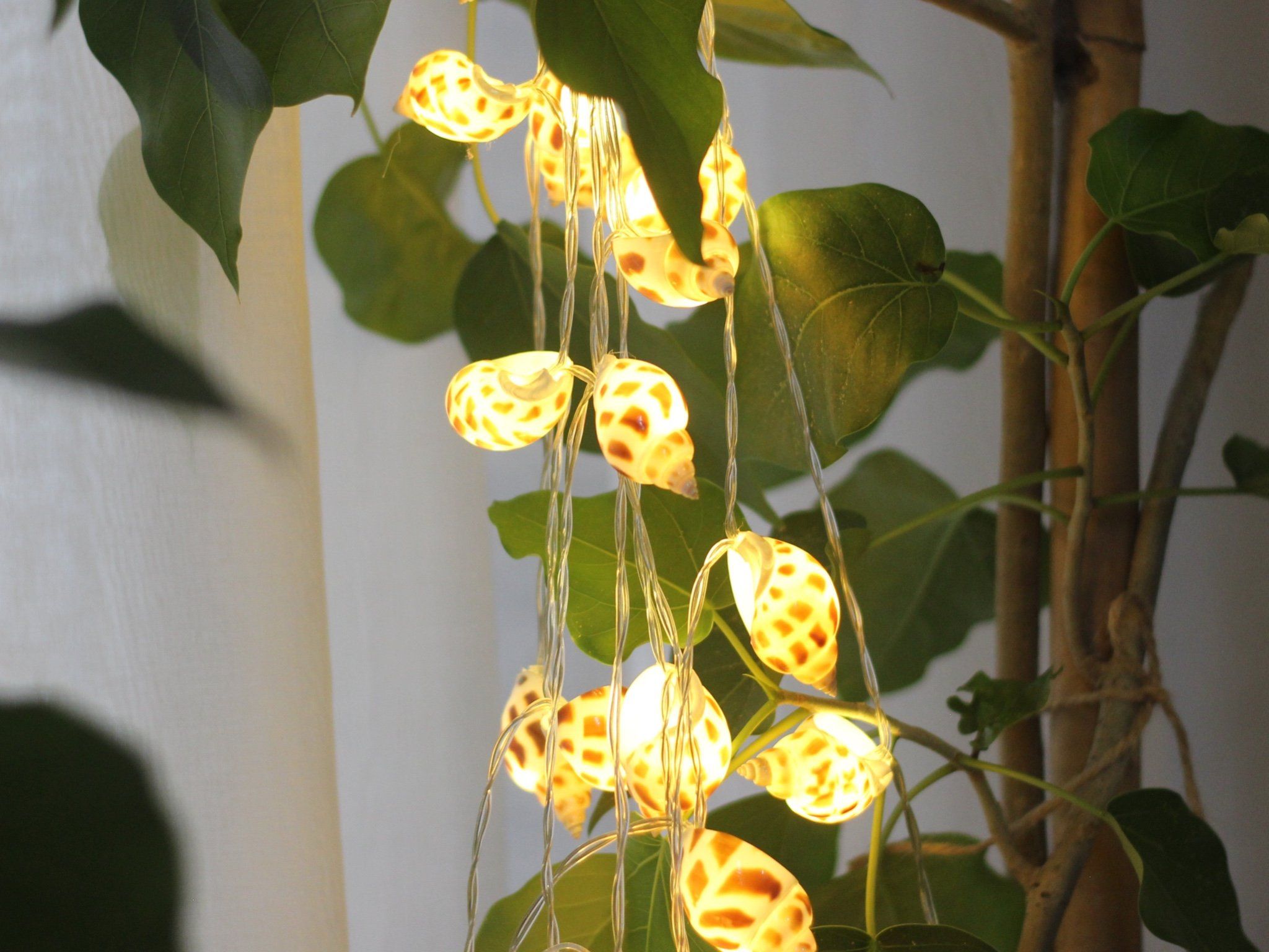 Đèn LED dây nghệ thuật Vỏ Ốc Hương