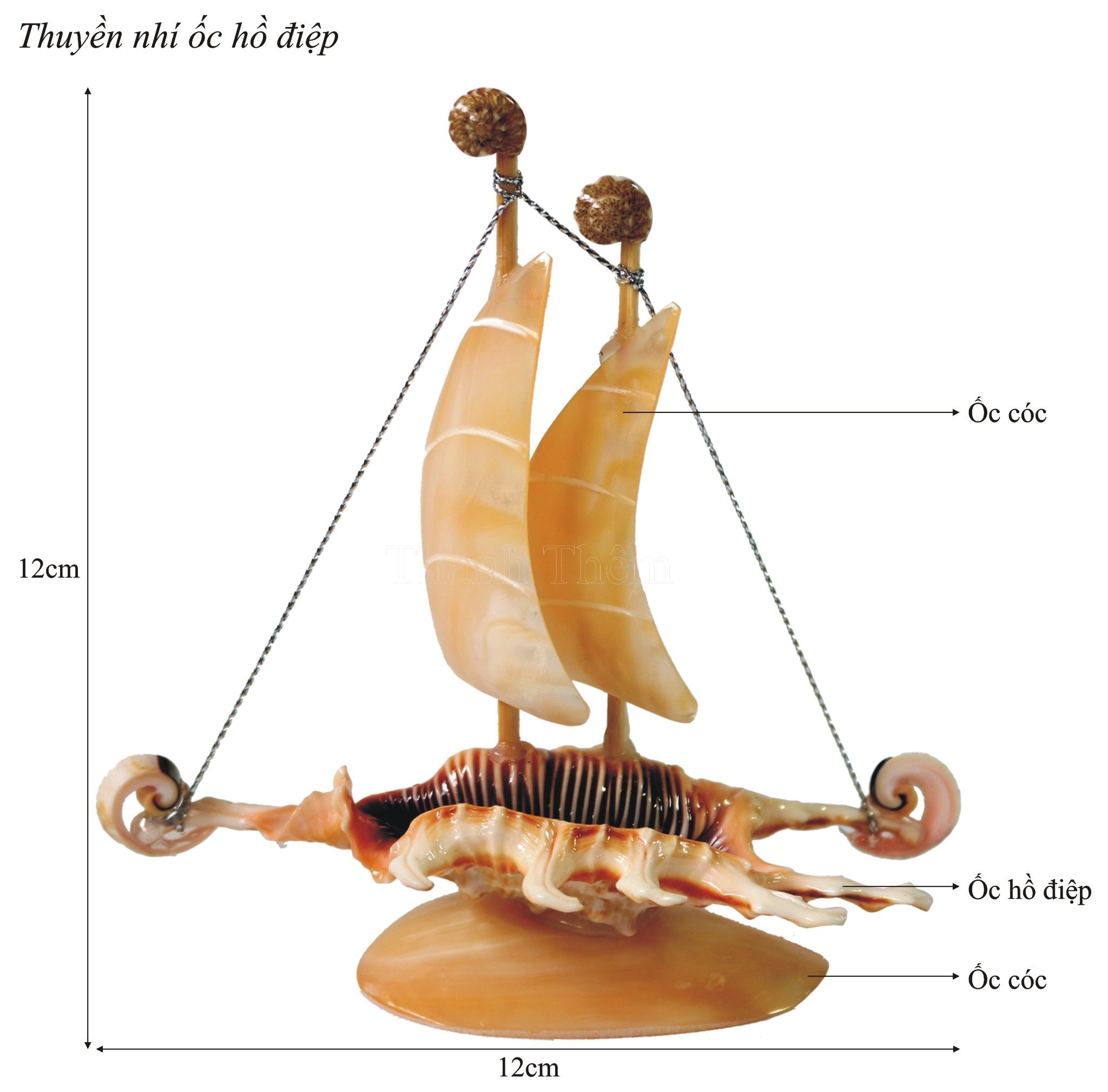  thuyền ốc ria nhỏ 