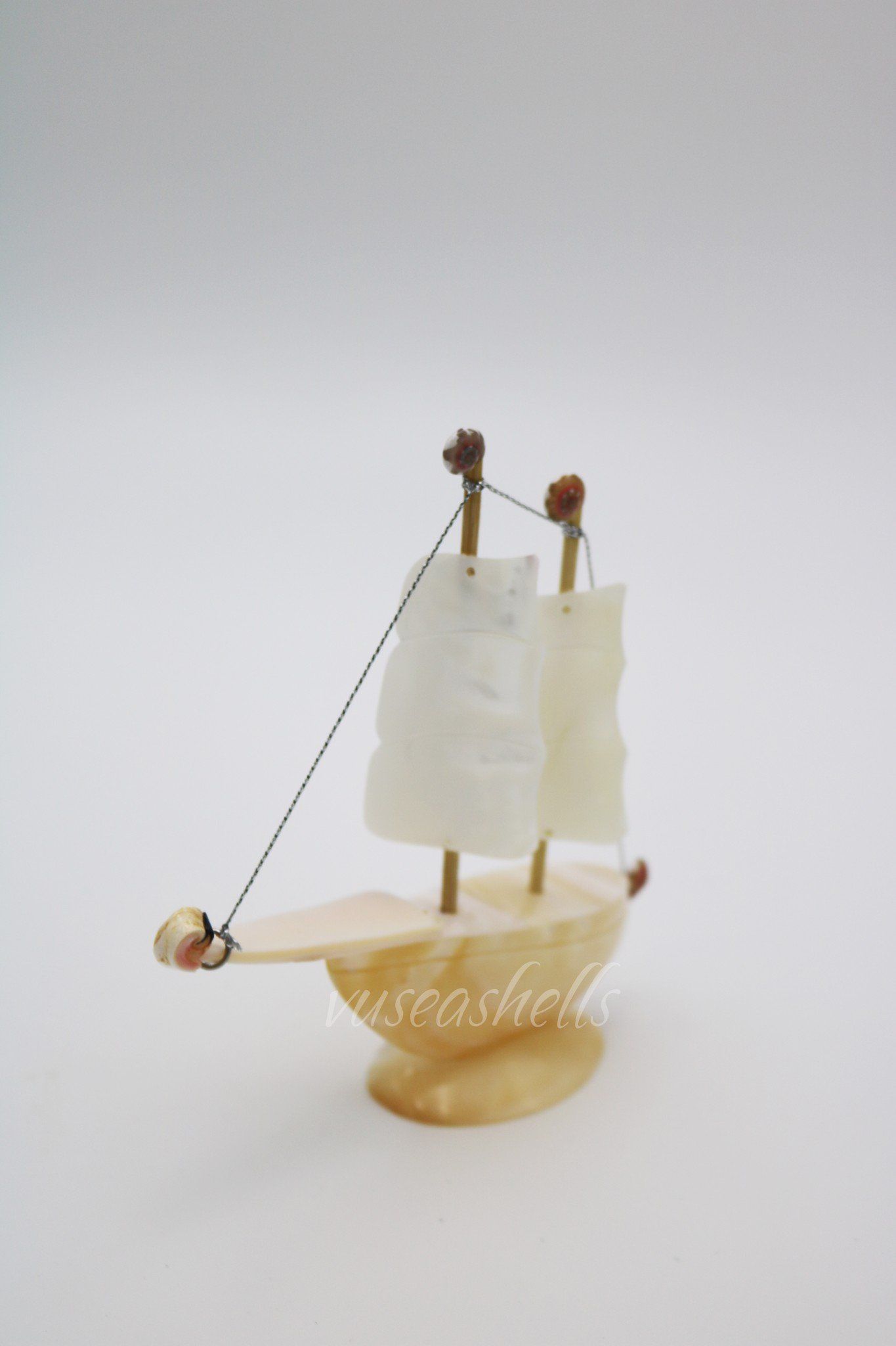 Thuyền ốc trai cóc nhỏ