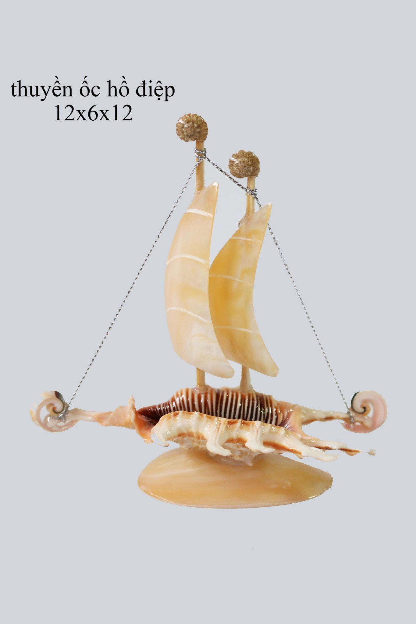 thuyền ốc ria nhỏ