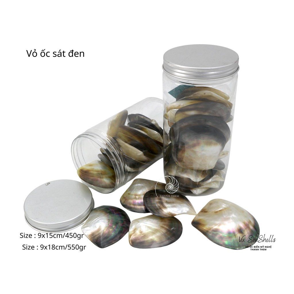 Vỏ Ốc Biển - Hủ Vỏ Ốc Sát Đen - Dùng Trong Trang Trí - Decor Chụp Ảnh