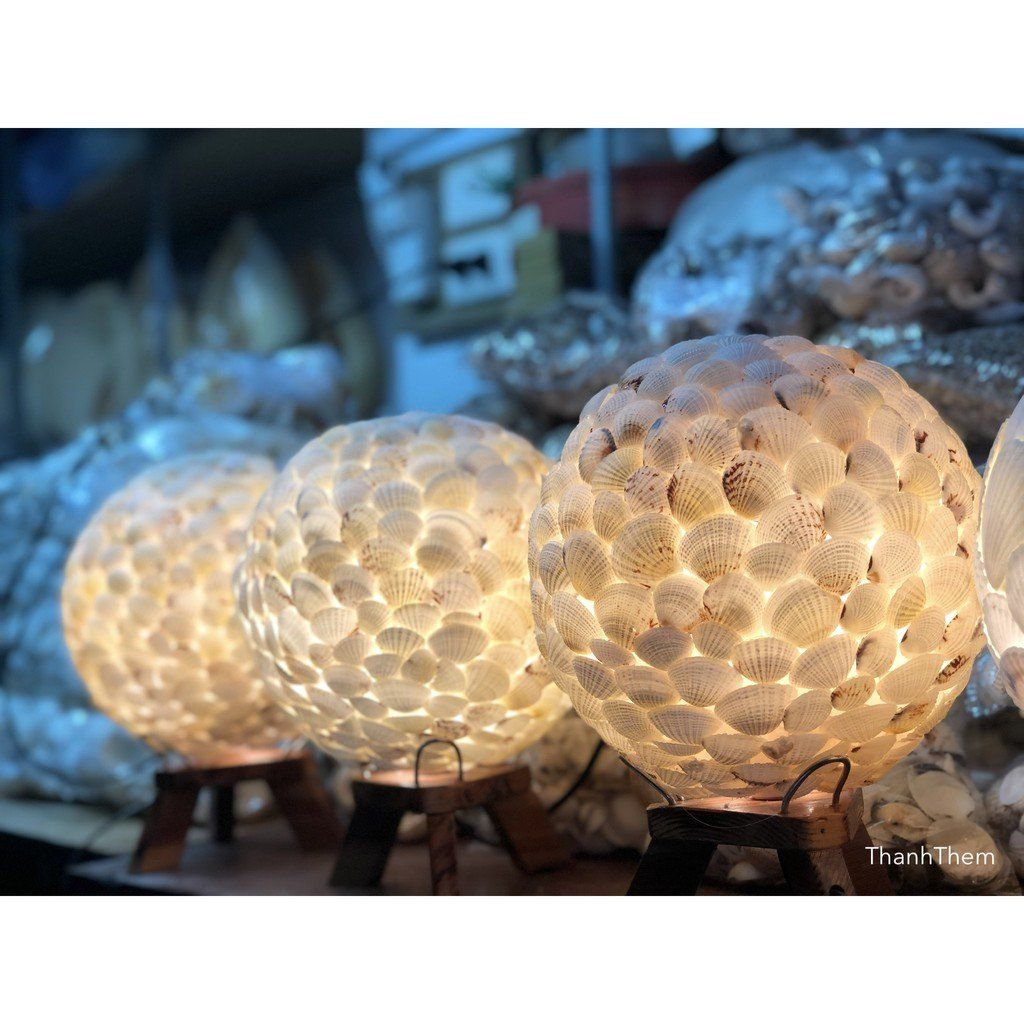 Đèn Trang Trí - Đèn Ngủ Làm Từ Vỏ Ốc Còm Cọp - Hàng Thủ Công.