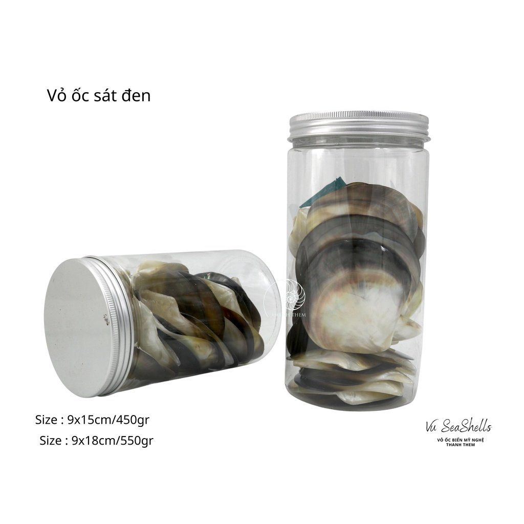 Vỏ Ốc Biển - Hủ Vỏ Ốc Sát Đen - Dùng Trong Trang Trí - Decor Chụp Ảnh