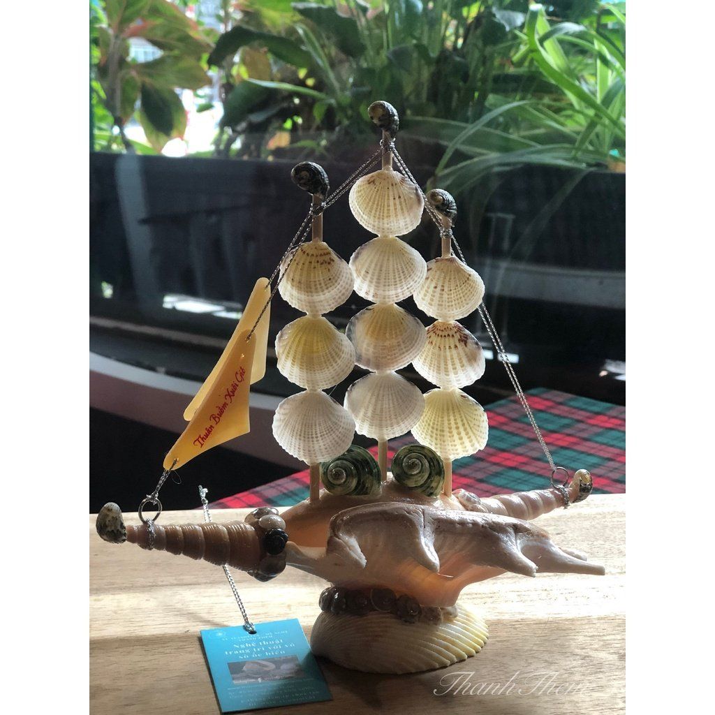 Thuyền Buồm Làm Từ Vỏ Ốc Biển Tự Nhiên.