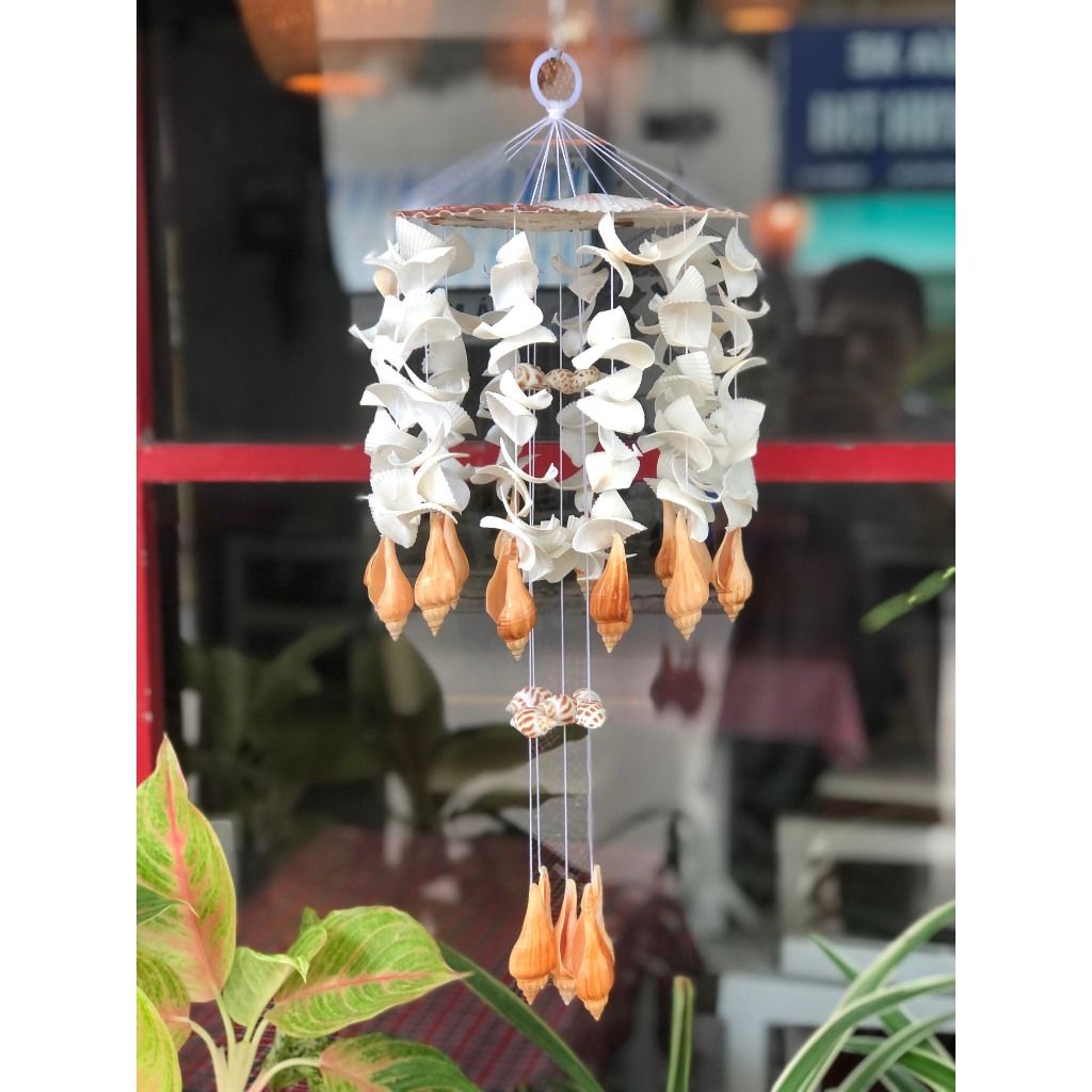 chuông gió vỏ sò - vỏ ốc biển