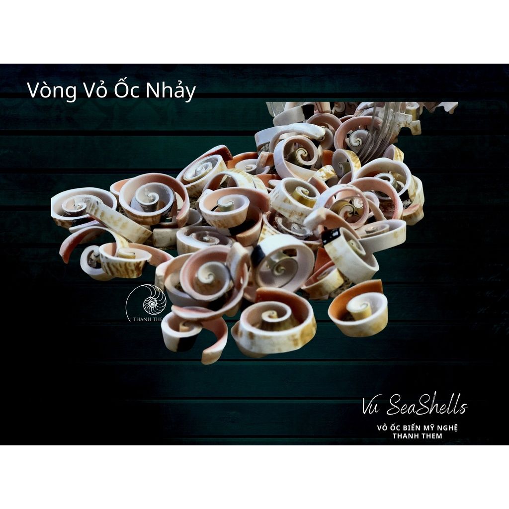 Phụ Kiện Decor - 100gr Vòng Xoắn Ốc Nhảy Đỏ - Vỏ Ốc Biển