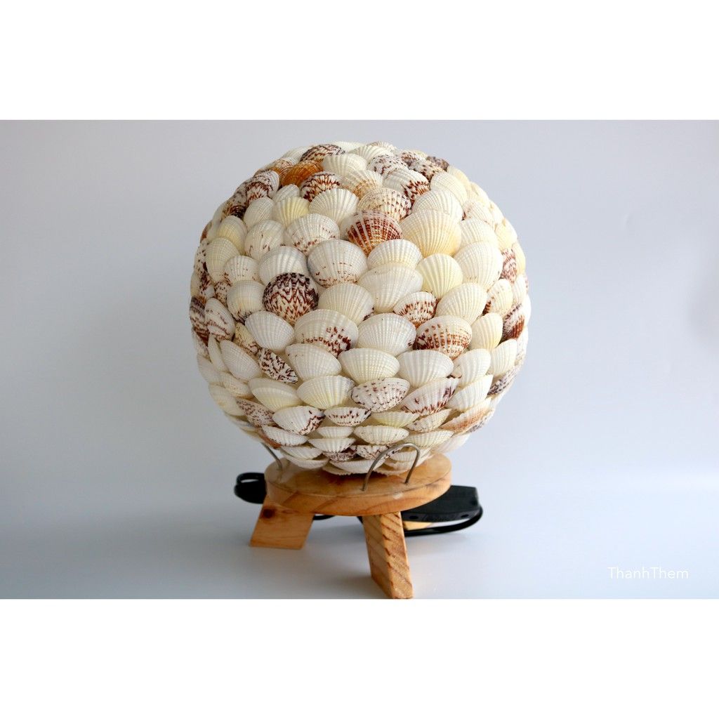 Đèn Trang Trí - Đèn Ngủ Làm Từ Vỏ Ốc Còm Cọp - Hàng Thủ Công.