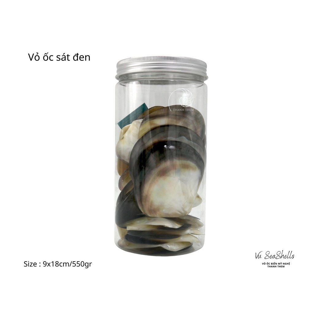 Vỏ Ốc Biển - Hủ Vỏ Ốc Sát Đen - Dùng Trong Trang Trí - Decor Chụp Ảnh