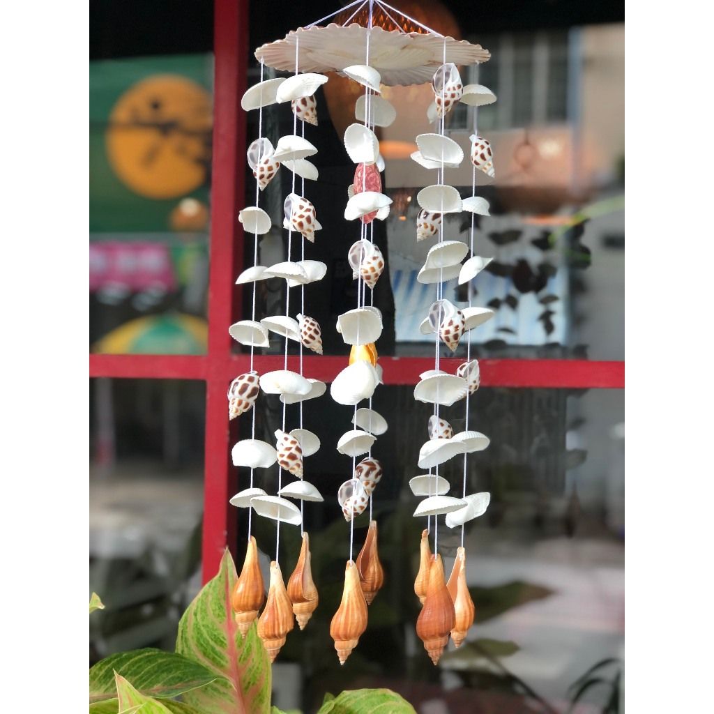 Chuông gió vỏ sò - vỏ ốc biển