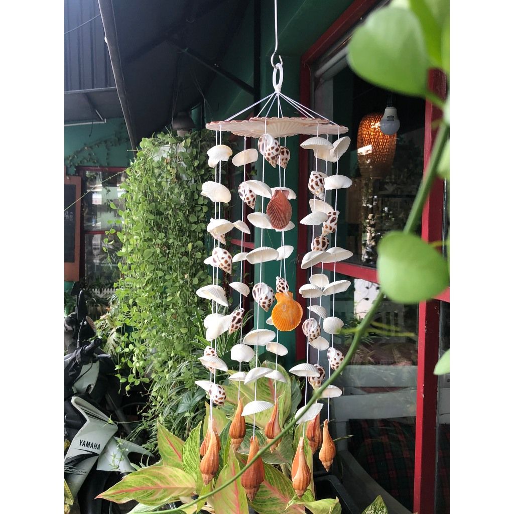 Chuông gió vỏ sò - vỏ ốc biển
