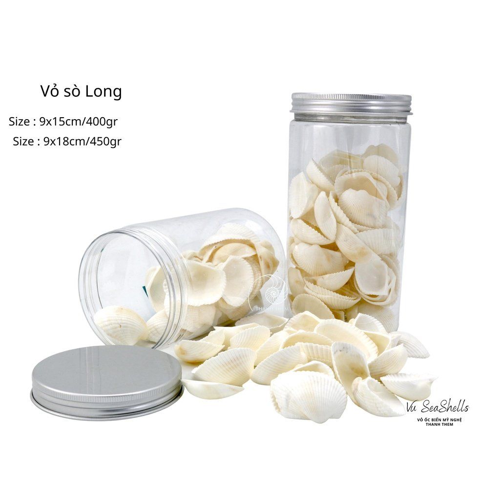 Vỏ Ốc Biển - Hủ Vỏ Sò Long - Dùng Trong Trang Trí - Decor Chụp Ảnh