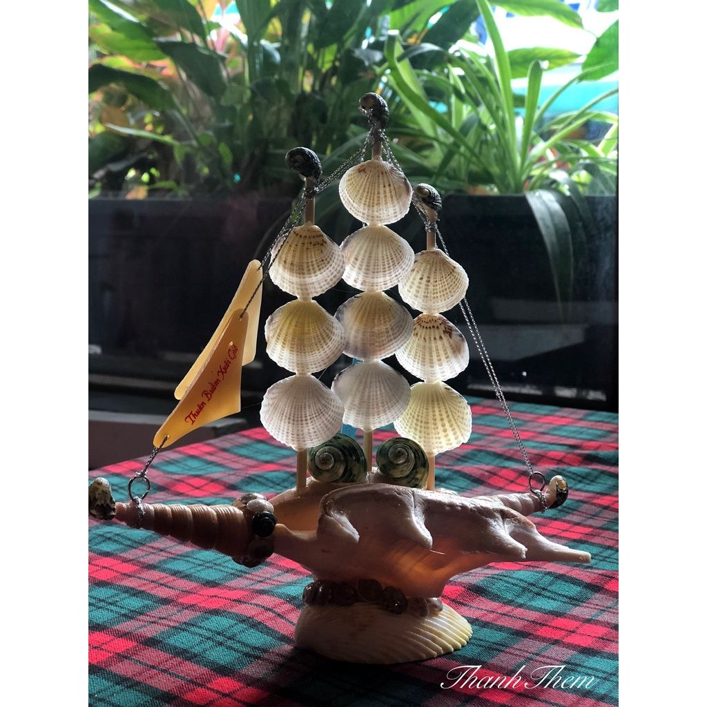 Thuyền Buồm Làm Từ Vỏ Ốc Biển Tự Nhiên.