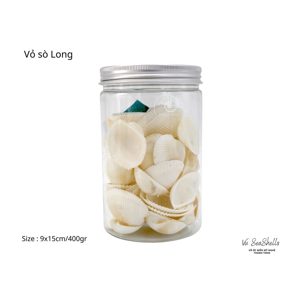Vỏ Ốc Biển - Hủ Vỏ Sò Long - Dùng Trong Trang Trí - Decor Chụp Ảnh