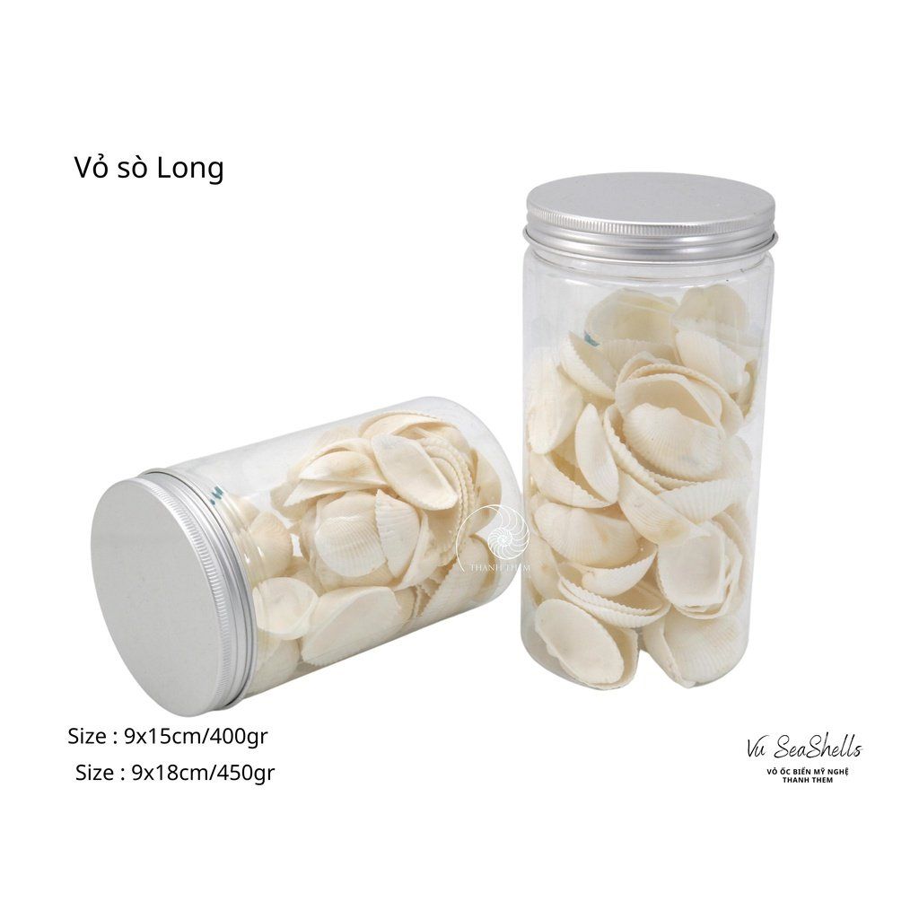 Vỏ Ốc Biển - Hủ Vỏ Sò Long - Dùng Trong Trang Trí - Decor Chụp Ảnh