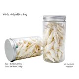  Vỏ Ốc Biển - Hủ Vỏ Ốc Nhảy Dài Trắng - Dùng Trong Trang Trí - Decor Chụp Ảnh 