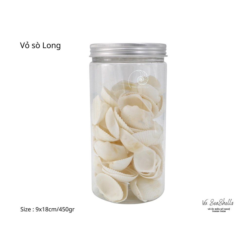 Vỏ Ốc Biển - Hủ Vỏ Sò Long - Dùng Trong Trang Trí - Decor Chụp Ảnh