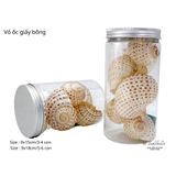  Vỏ Ốc Biển - Hủ Vỏ Ốc giấy Bông - Dùng Trong Trang Trí - Decor Chụp Ảnh 