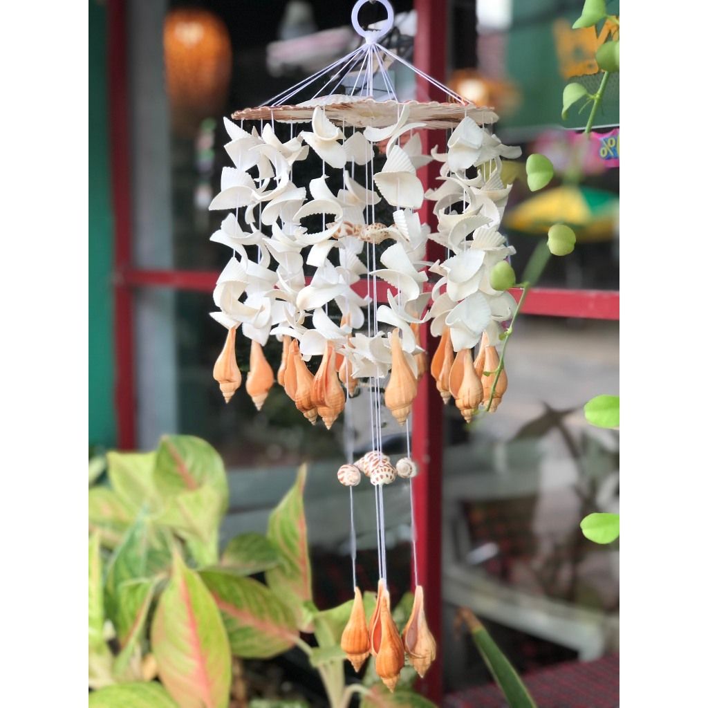 chuông gió vỏ sò - vỏ ốc biển