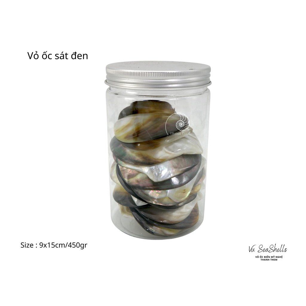 Vỏ Ốc Biển - Hủ Vỏ Ốc Sát Đen - Dùng Trong Trang Trí - Decor Chụp Ảnh