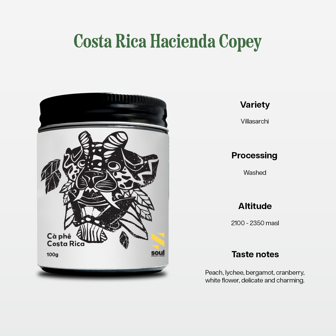 Costa Rica Hacienda Copey