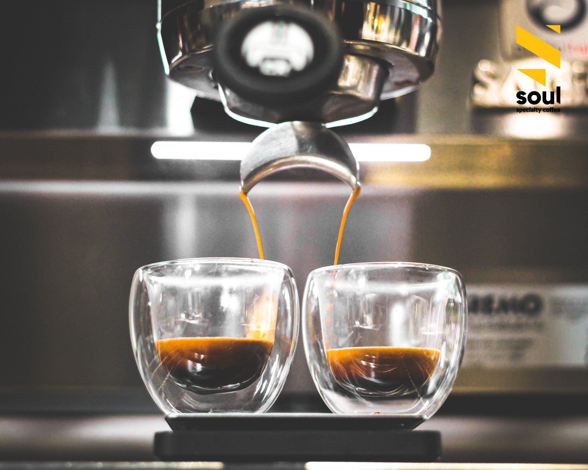 CÀ PHÊ CHẤT LƯỢNG CAO - ARABICA - ROBUSTA | PHA MÁY - PHA PHIN