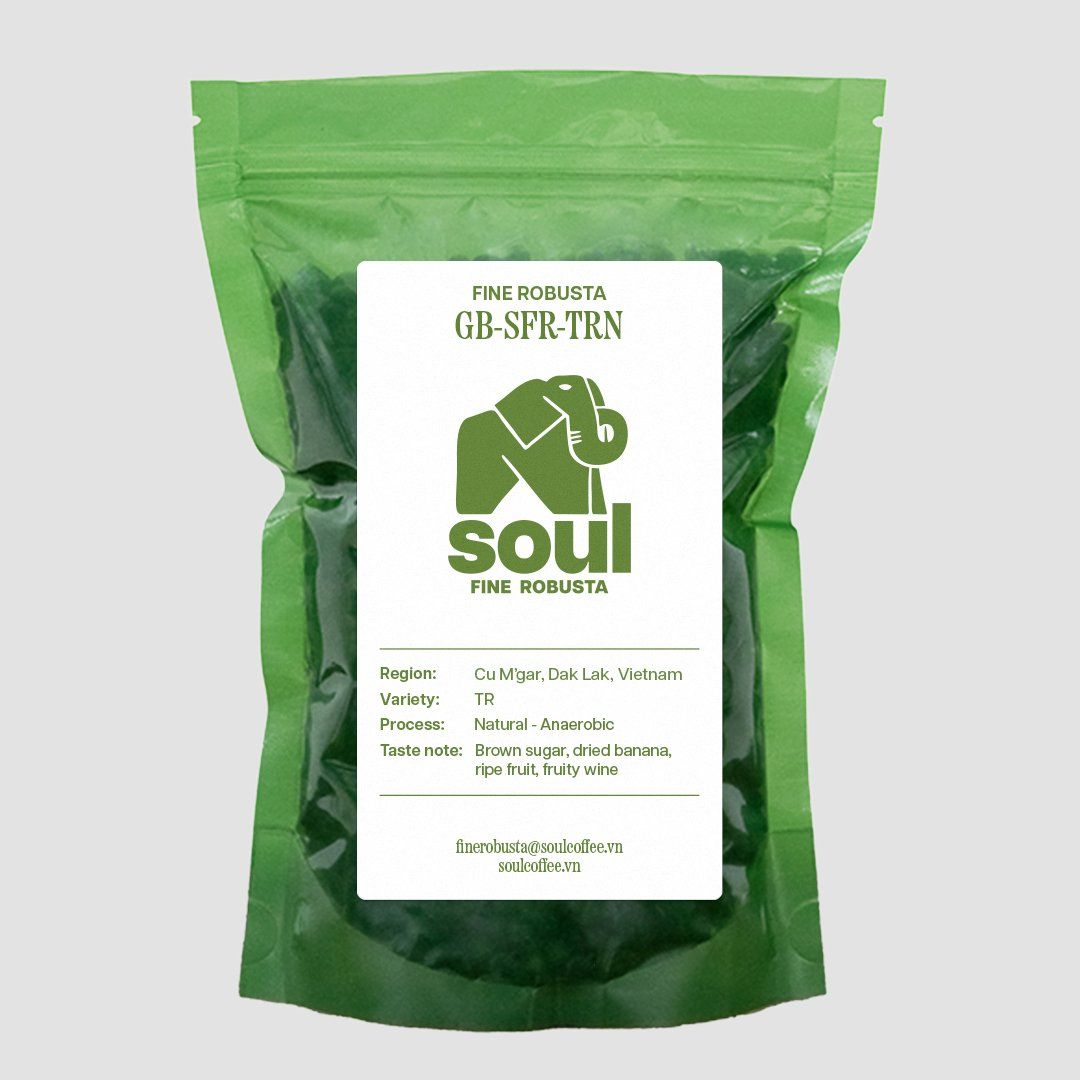 Vietnam Fine Robusta - TR - Natural - Slow Fermentation